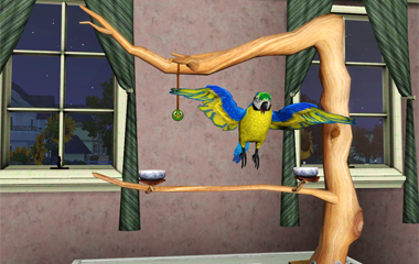 Птицы, детеныши и разведение животных в «The Sims 3: Питомцы» 1317537670_03